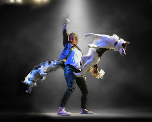 More Info for Mutts Gone Nuts: Mutts, Magic and Mayhem!